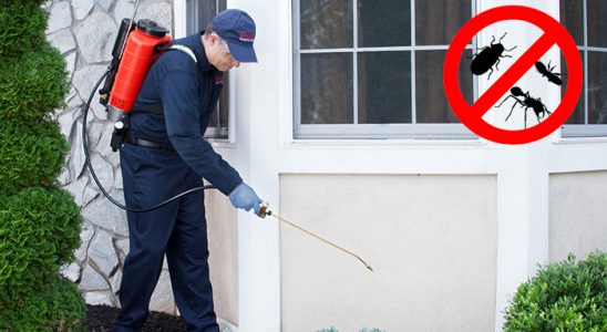 Yenipazar Karınca İlaçlama böcek ilaçlama ve haşere kontrolü — ilaclama-tr.com